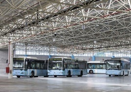 Autobuses dentro de las cocheras del TUS, en Camarreal.