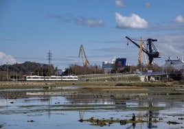Las marismas de El Astillero que se declararán Área Natural de Especial Interés.