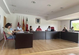 Un momento de uno de los últimos plenos de Liendo.