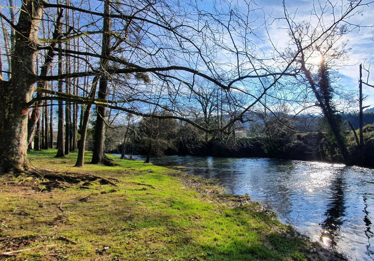Tramo de la senda fluvial que discurre por la ribera del río Pisueña en el municipio de Castañeda.