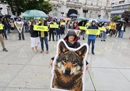Imagen de la concentración en defensa del lobo celebrada en mayo en la plaza del Ayuntamiento de Santander.