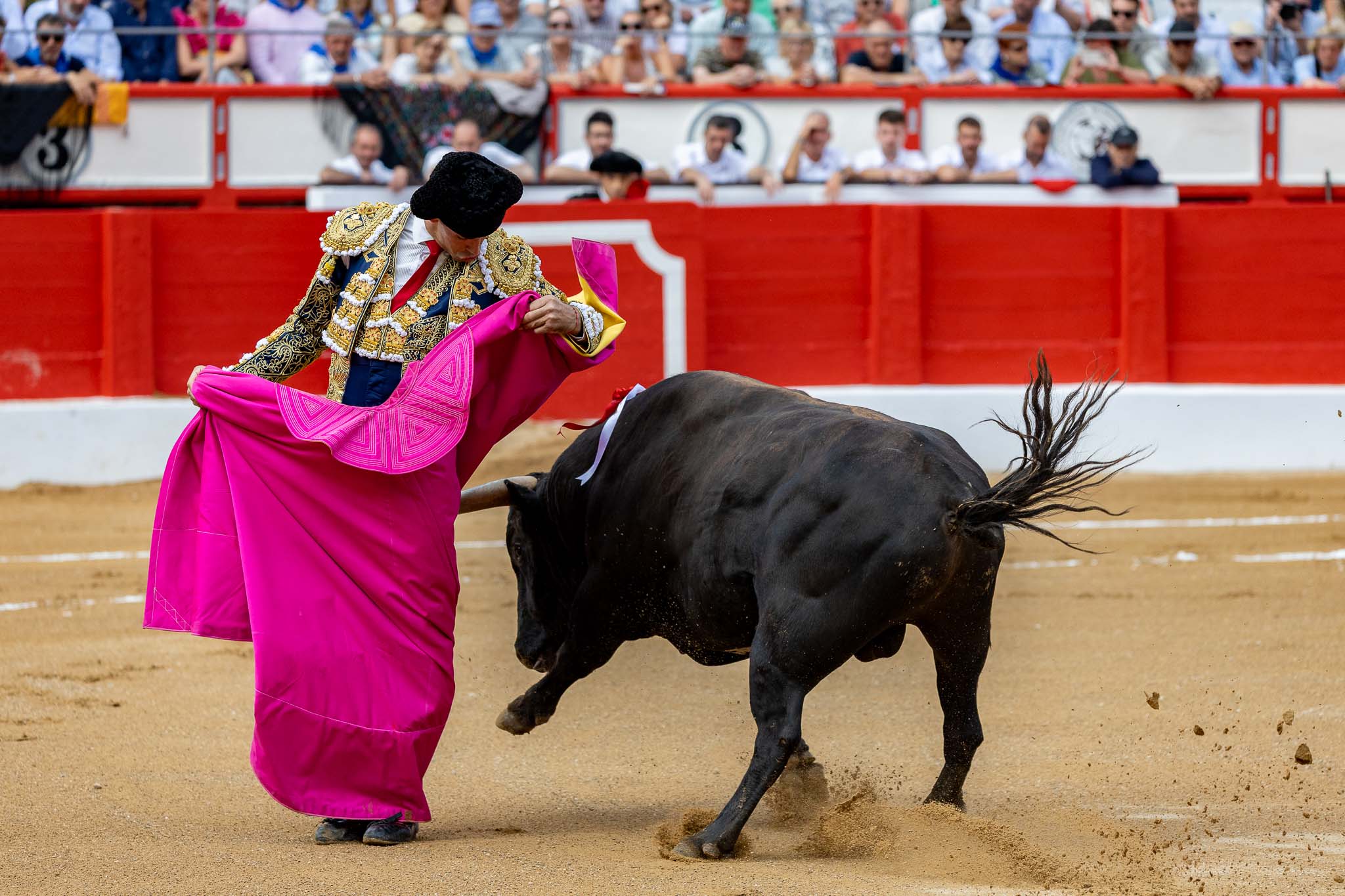 Chicuelina de Fortes con el primero de su lote.