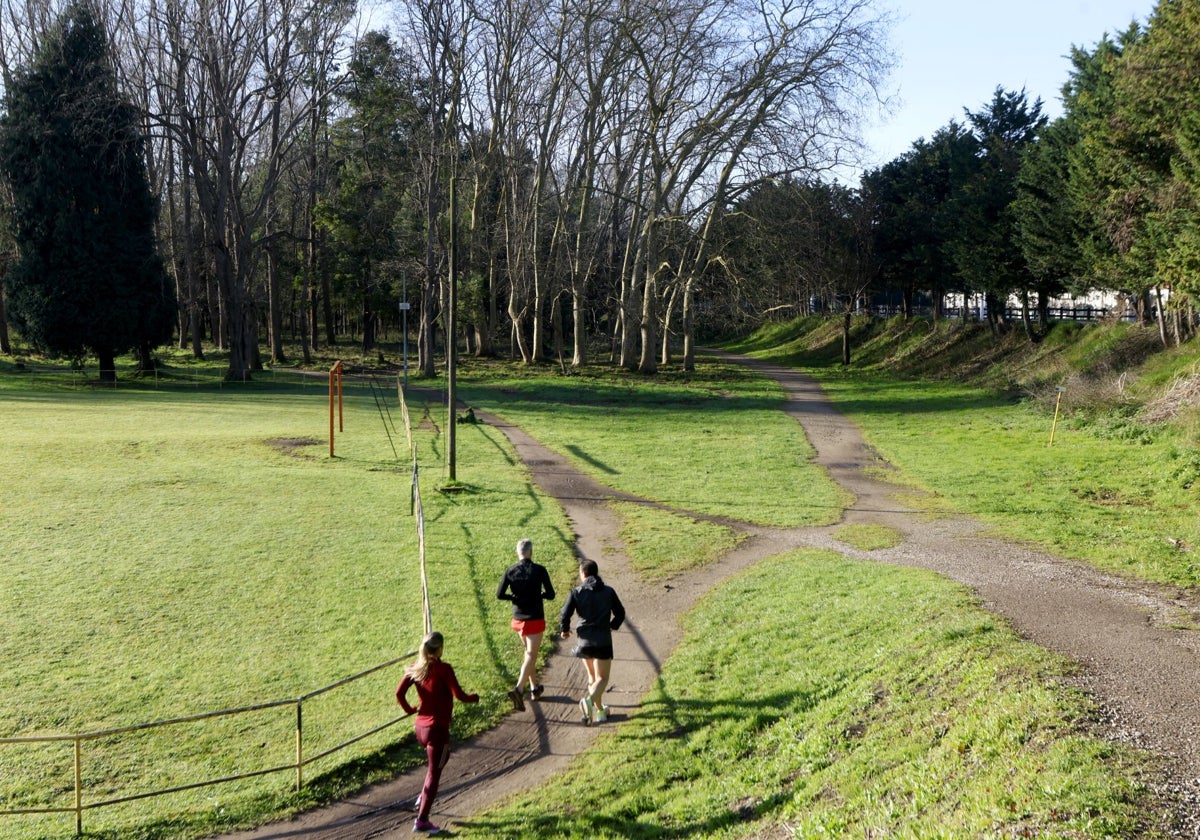 El parque de Las Tablas, conocido popularmente como El Patatal.