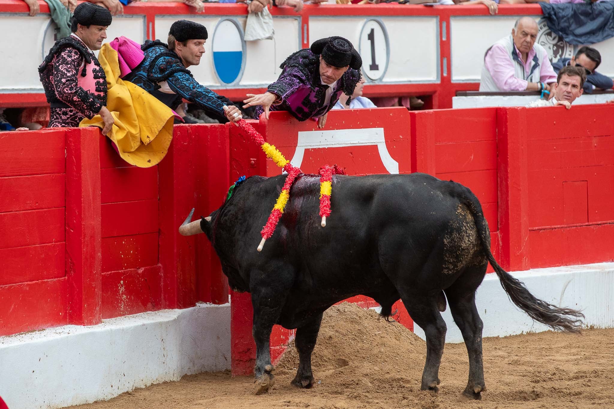 Iván García retira una banderilla que molestaba sobre el lomo del toro.