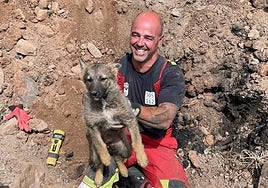 Rescatado un cachorro atrapado en una tubería en Valdeolea