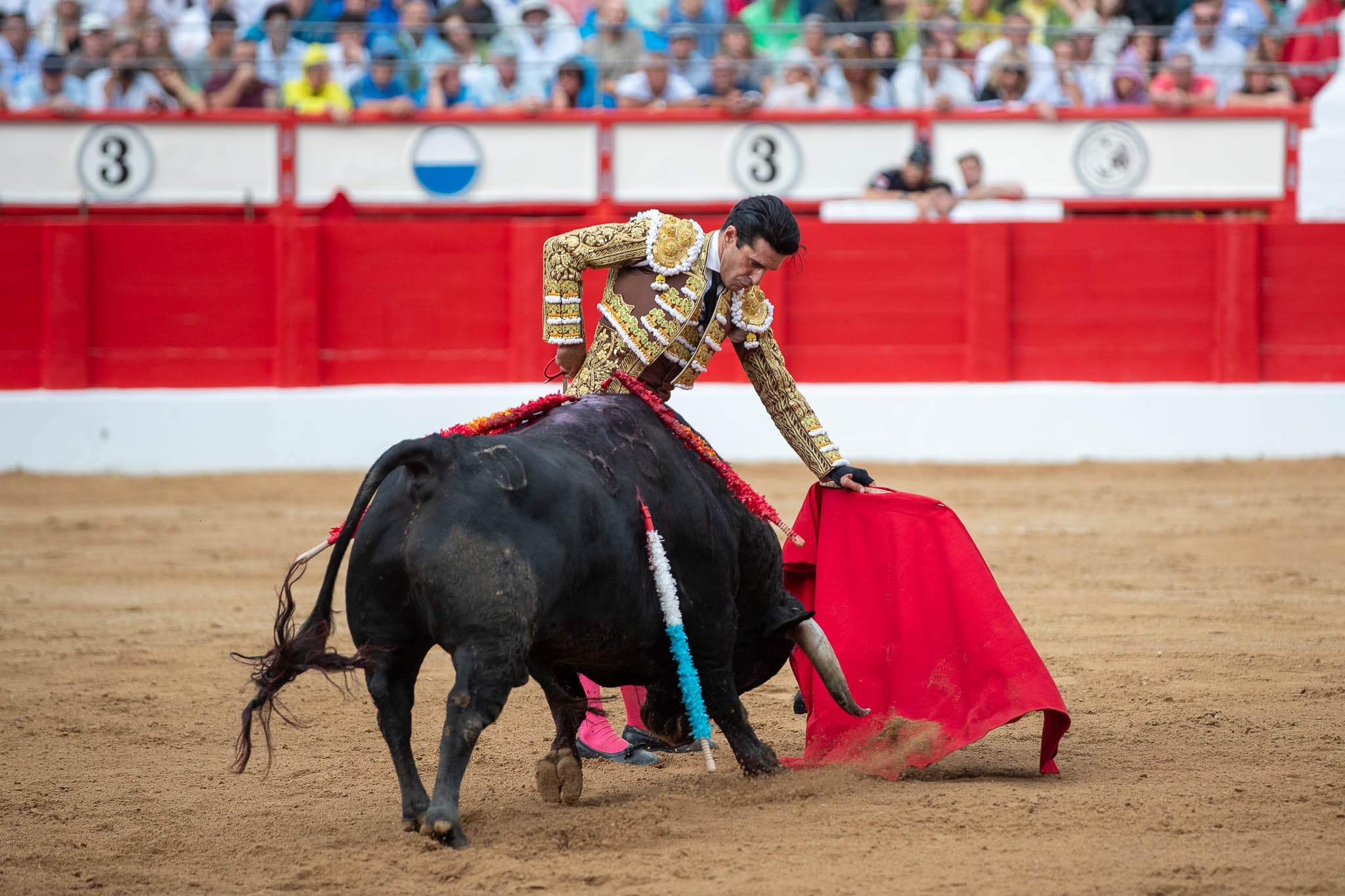 Otro instante al natural de Talavante.