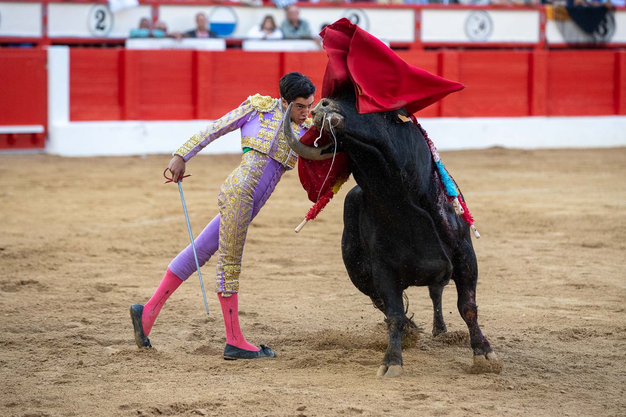 Pase de pecho del joven torero.