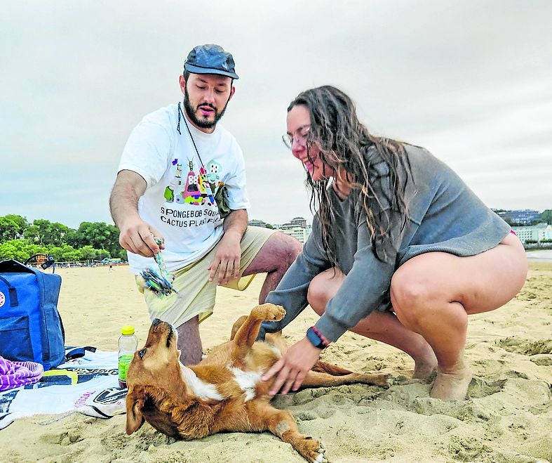 Imagen principal - Bañistas y perros comparten la Segunda Playa de El Sardinero durante el verano