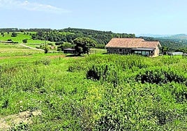 Zona de San Pedro de Rudagüera donde se ubican las parcelas a subasta.