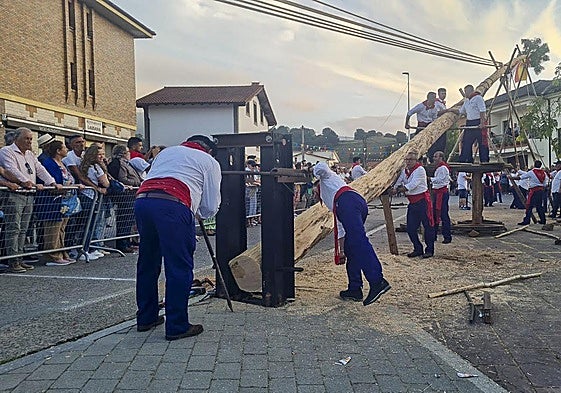 En la maya de Silió el esfuerzo del hombre es el elemento principal para ponerla en pie.