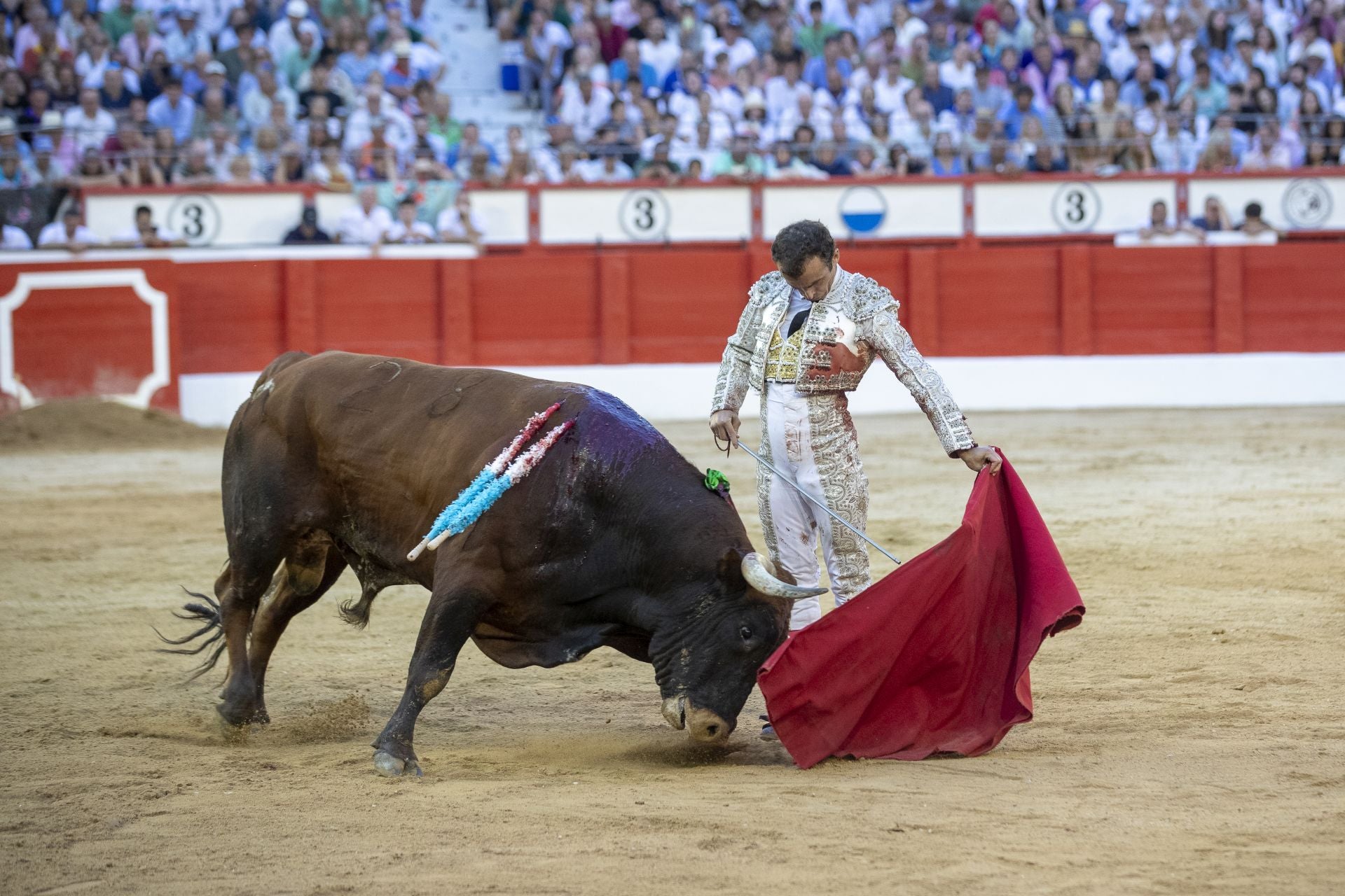 Damián Castaño, con el sexto de Miura.