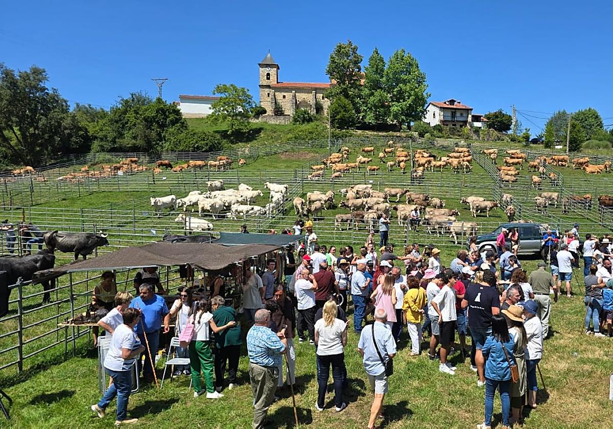 El recinto ferial de Gandarilla estuvo muy animado de ganado y público.