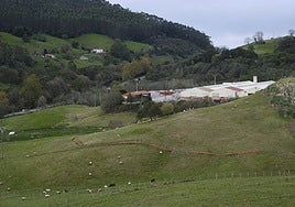 Terrenos en los que se estudia instalar la planta de biogás.