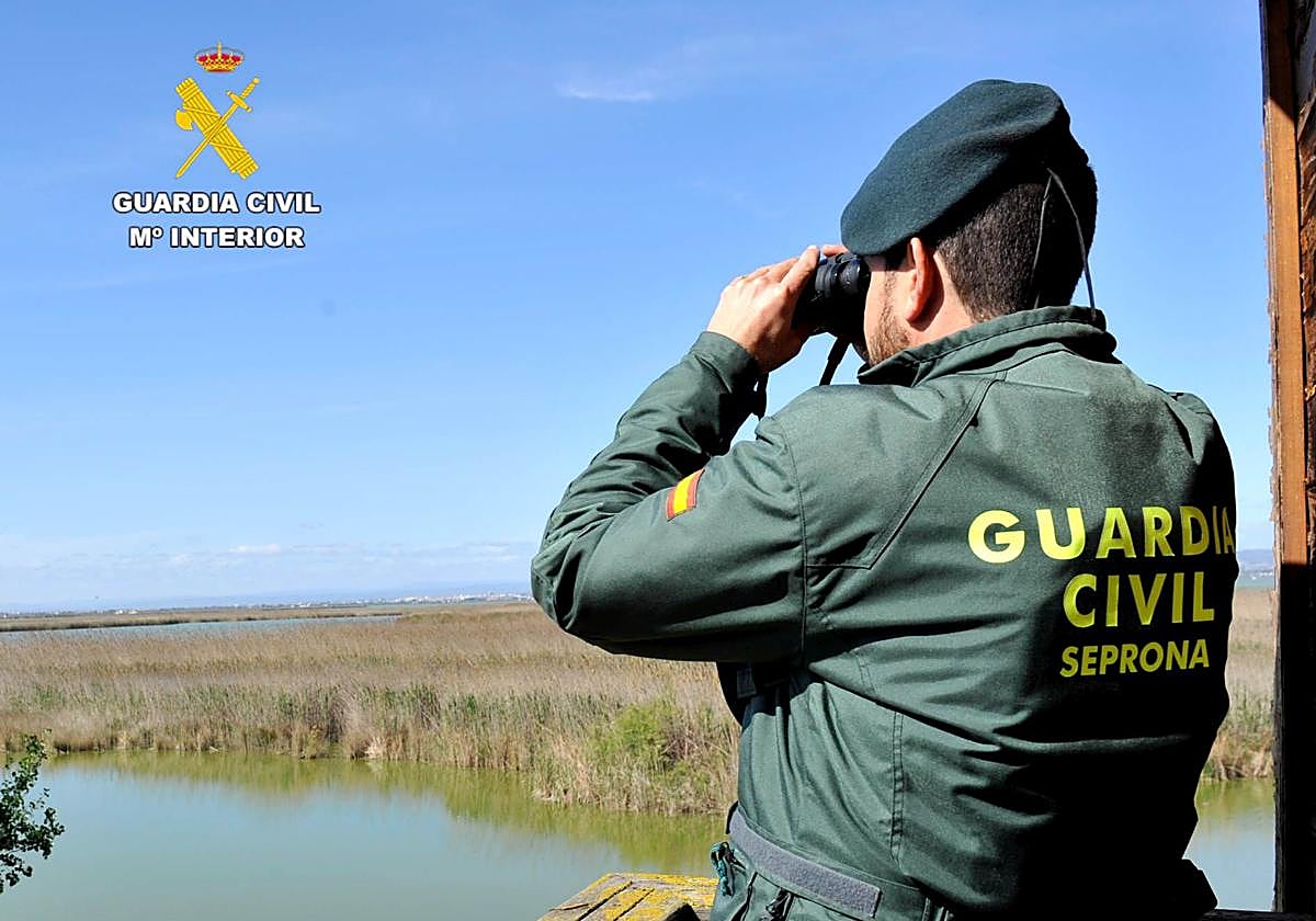 Un agente del Seprona realiza labores de vigilancia de la flora y la fauna.