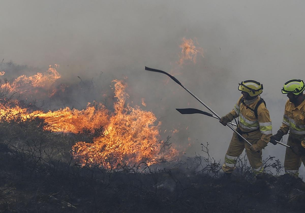 Brigadas forestales combaten un incendio originado en Cabuérniga.