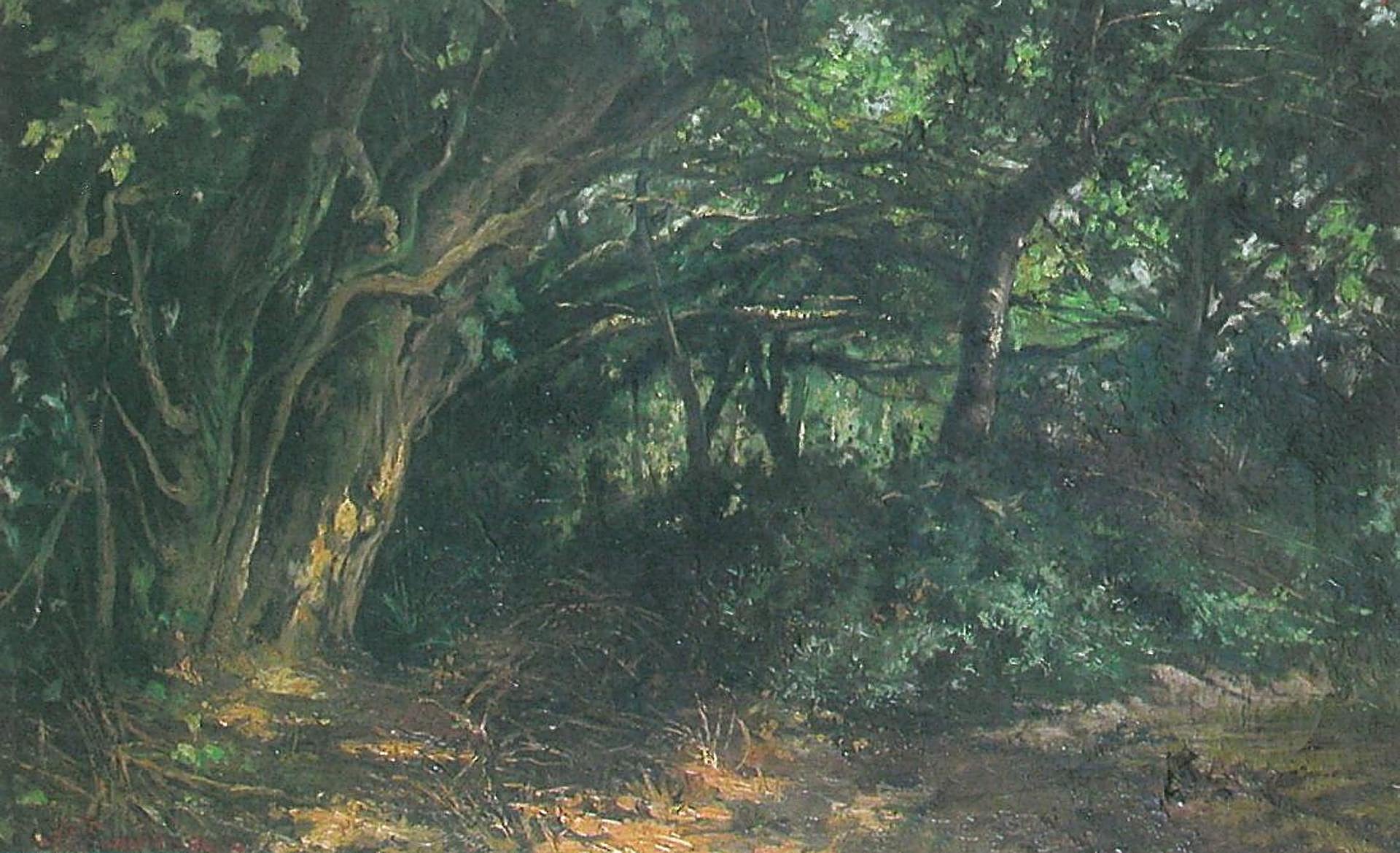 Scroll Story imagen 10