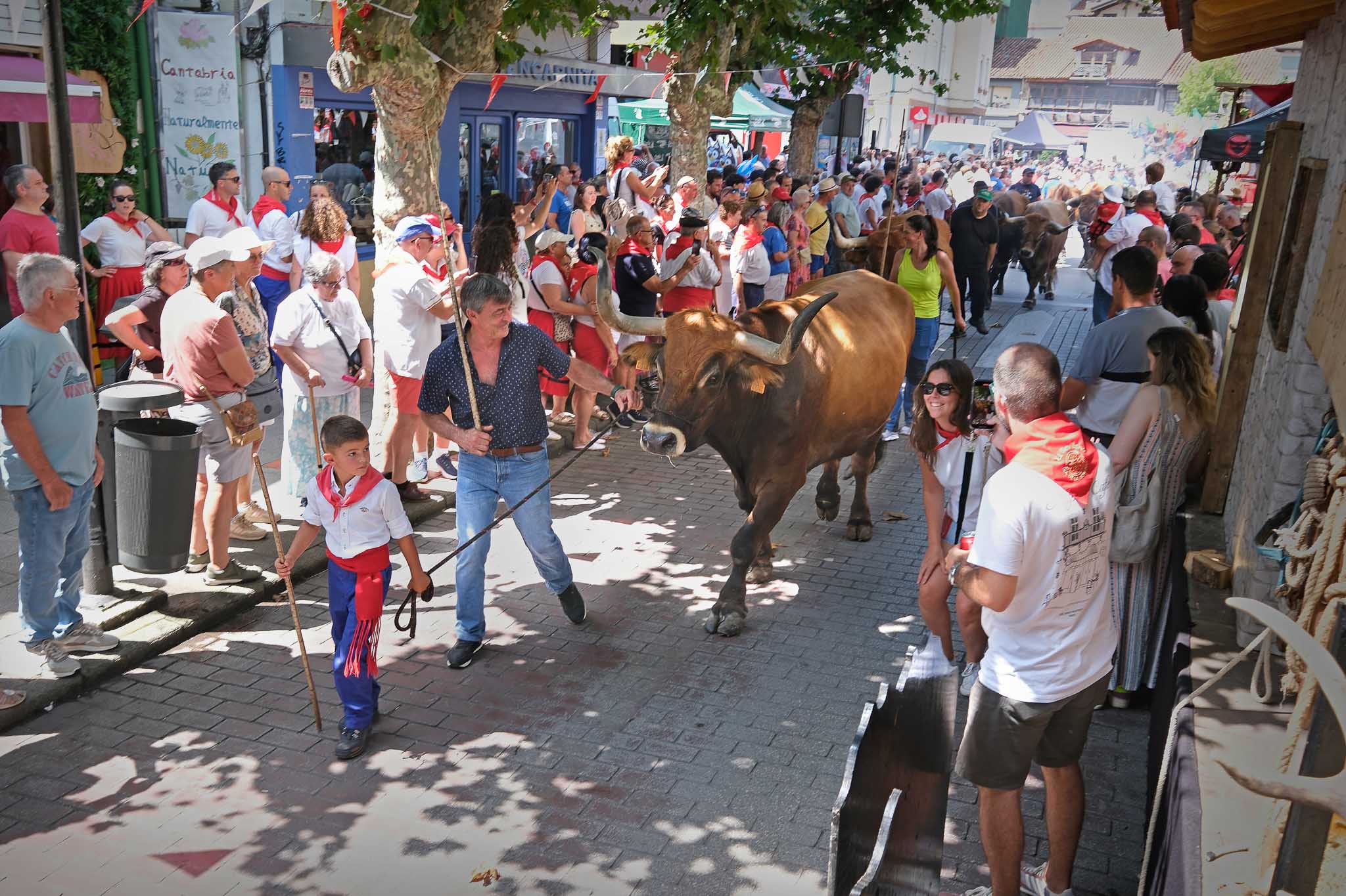 Un ganadero con uno de los bueyes que participó en el concurso de arrastre.