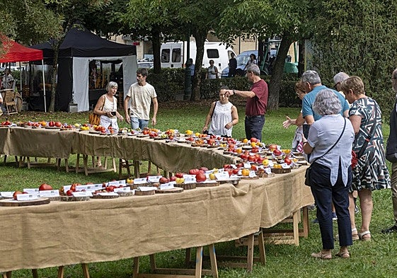 Amantes del tomate durante el festival del año pasado.