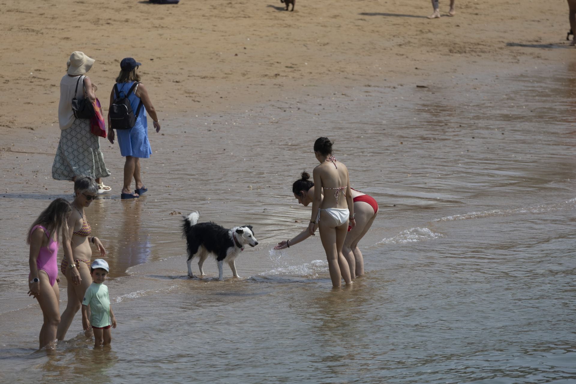 La orilla del mar es un lugar ideal para no pasar calor