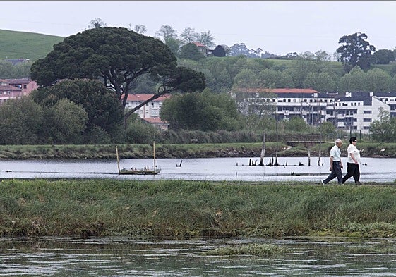 Marismas de El Astillero.