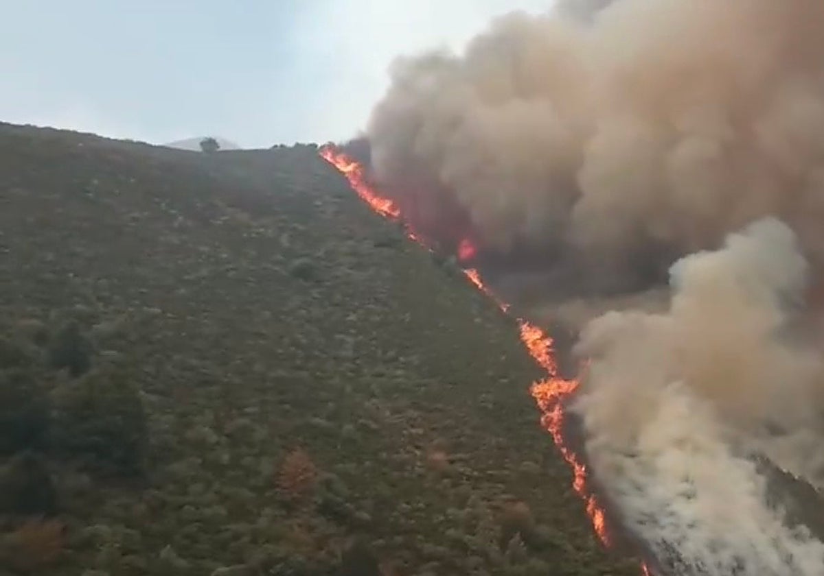 La BRIF de La Iglesuela se tuvo que movilizar ayer a Picos de Europa.
