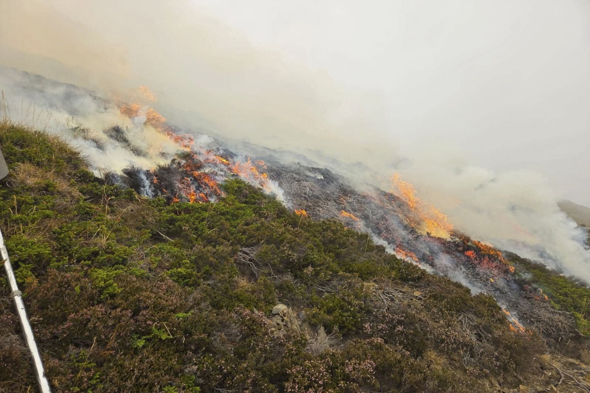 El fuego perimetrado en la zona de Pozo Llao y Canalejas. 