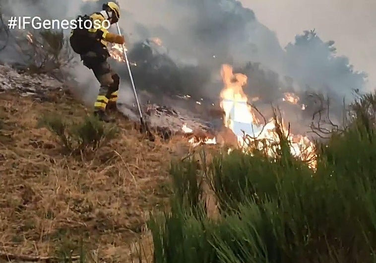 Los bomberos de la BRIF de Ruente, desplegados en La Braña y La Pornacal