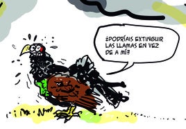 Extinción