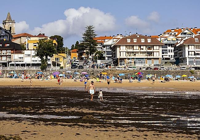 Así estaba Trengandín antes de que se empezaran las labores de limpieza