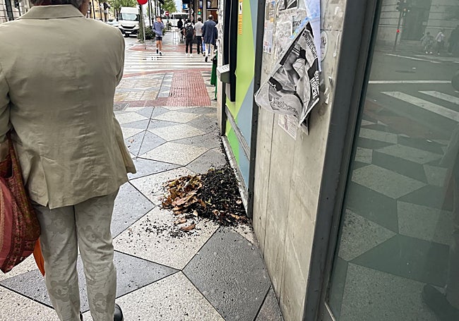 La tierra y las hojas se acumulaban a lo largo de la calle Isabel II.