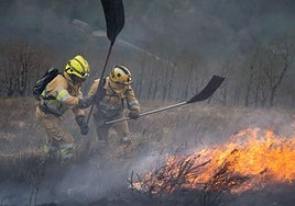 Bomberos forestales sofocando un incendio que se generó en Ruente el pasado marzo.