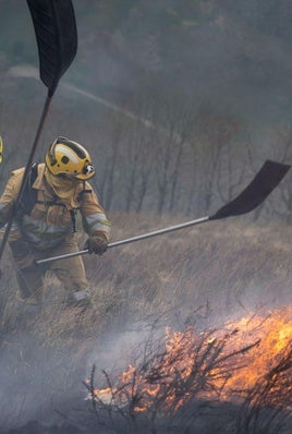 Bomberos forestales sofocando un incendio que se generó en Ruente el pasado marzo.