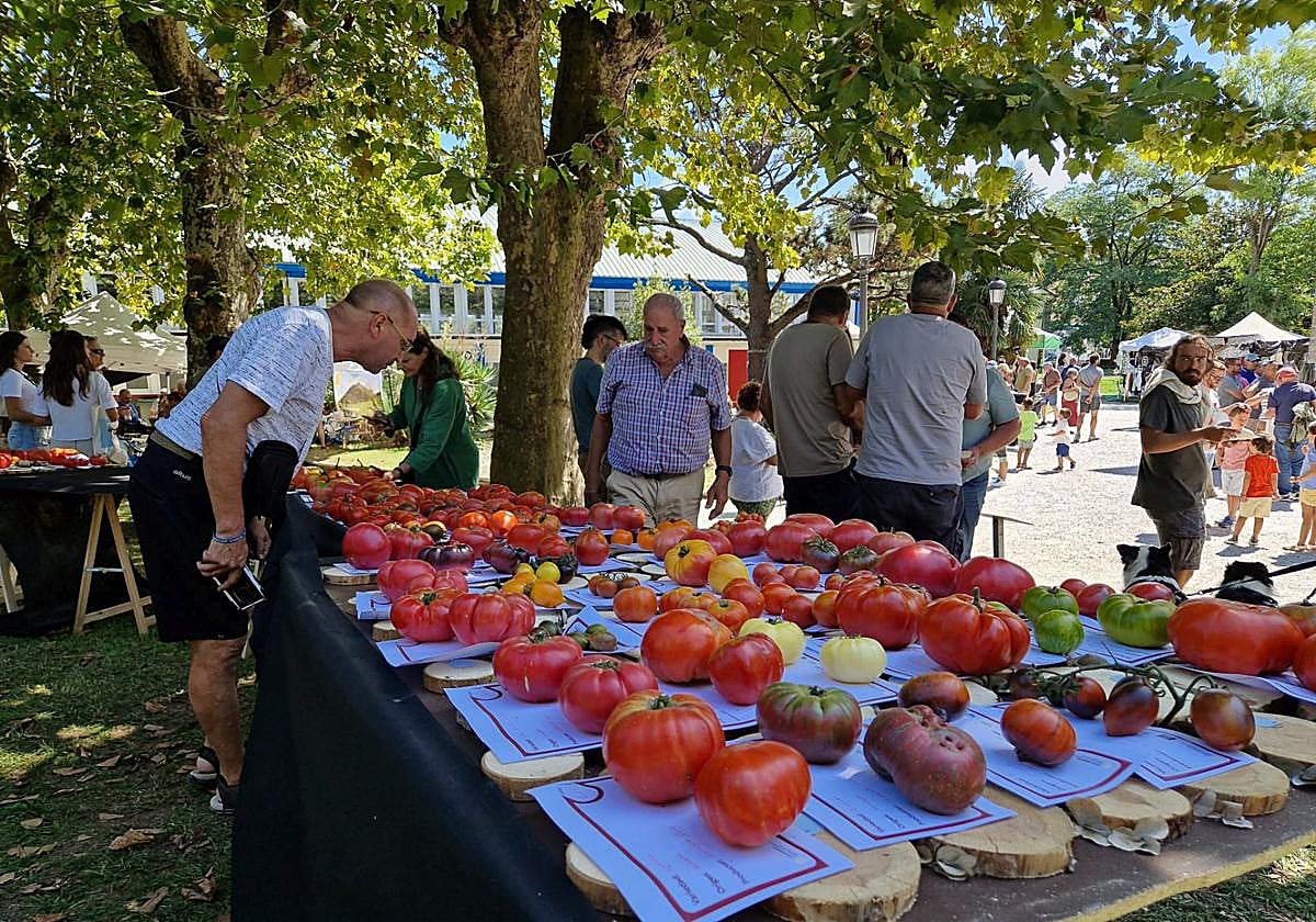 Ejemplares con una pinta estupenda sobre una de las mesas de exposición