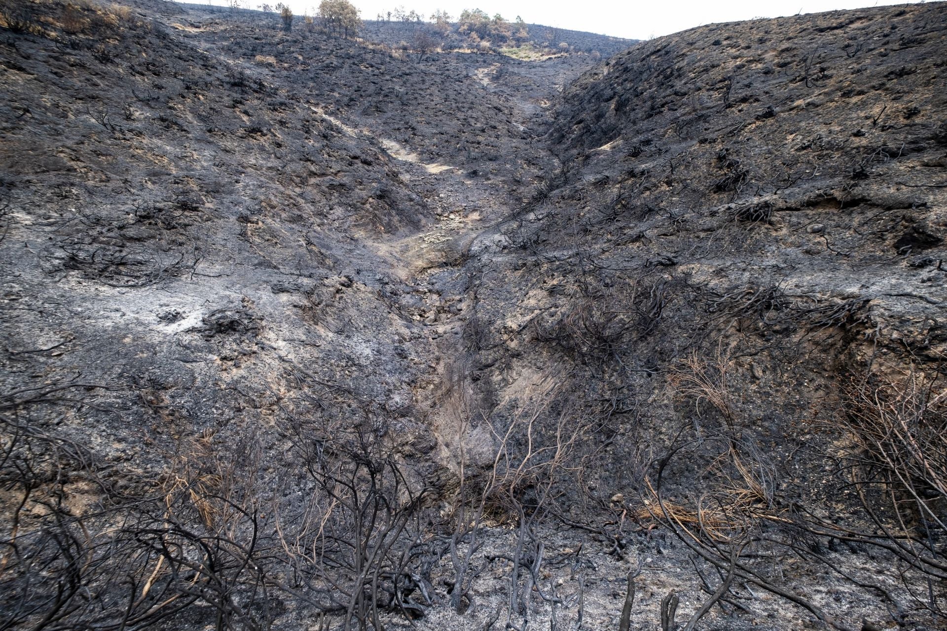 Tras el fuego llegarán sus consecuencias, como la erosión del terreno, las escorrentías y la desertificación de las zonas más áridas. 