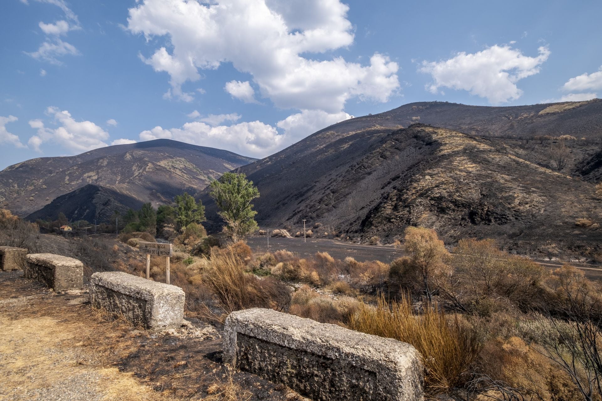 En Tierra de la Reina, las llamas han llegado hasta el arcén de las carreteras. 