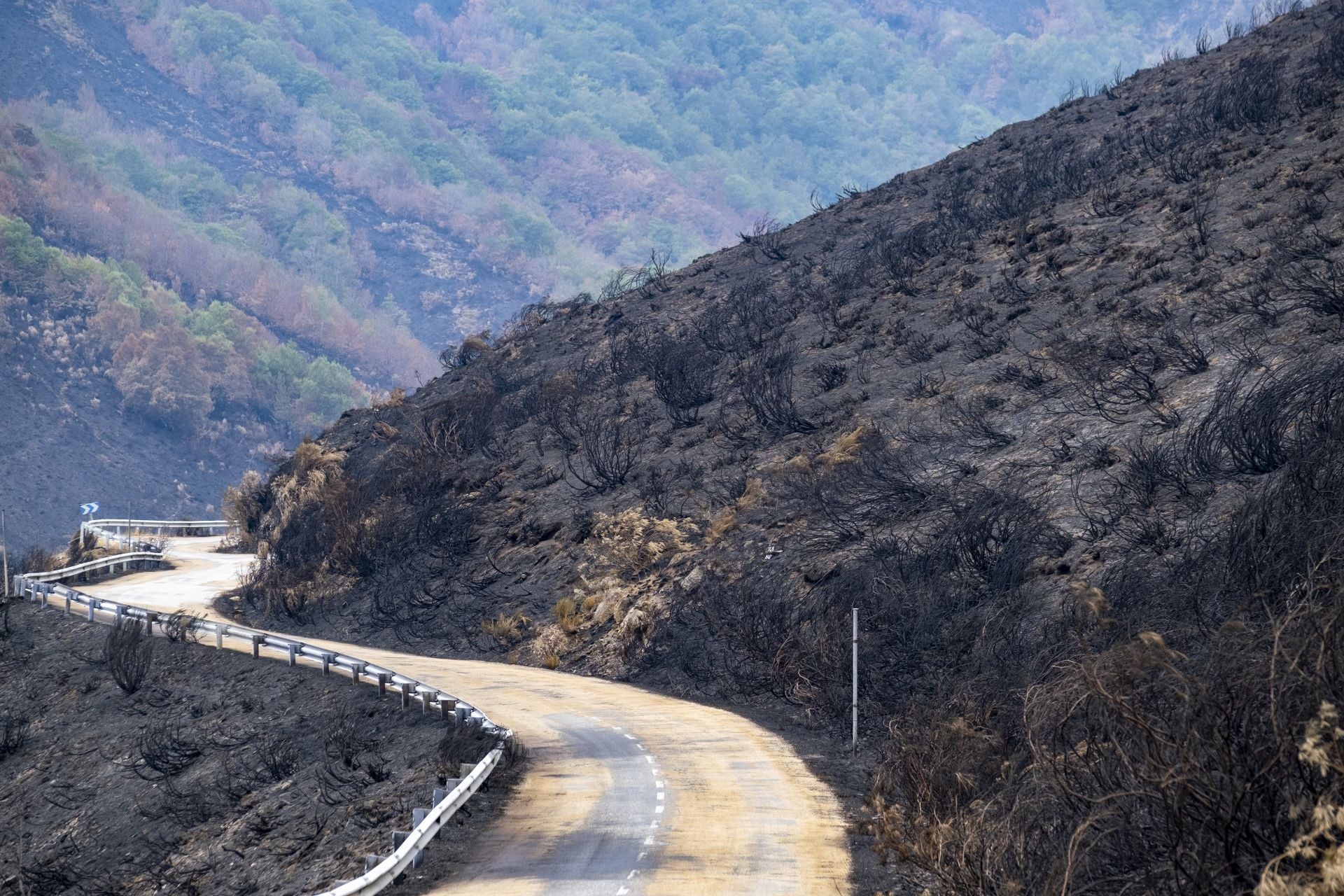 El fuego superó las carreteras y se propagó por toda la ladera. 