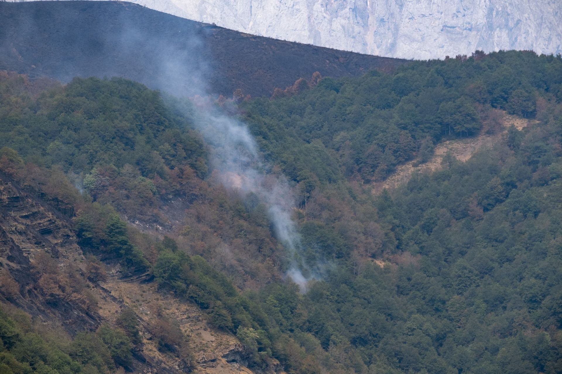 Entre la vegetación aún se elevan columnas de humo. 