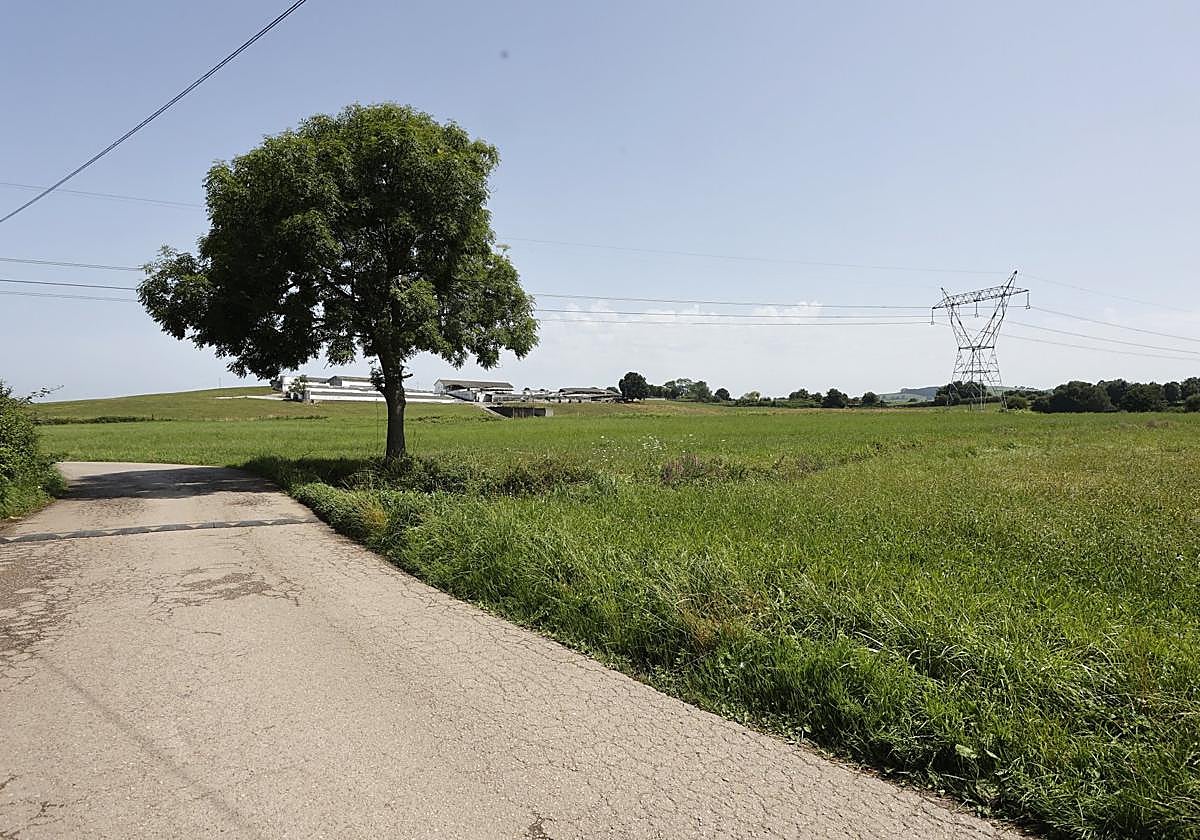 La campa sobre la que se construirán los terrenos del polígono industrial.