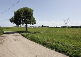 La campa sobre la que se construirán los terrenos del polígono industrial.