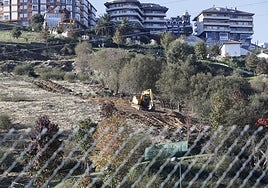Trabajos para la restauración ambiental en la ladera del Monte, donde se ubicaría el futuro funicular de Suances.