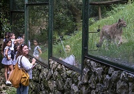 Una de las familias, que visita el zoo, frente al recinto de los linces.