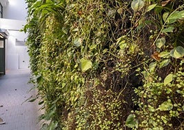 El jardín vertical del centro cívico de Tabacalera, deteriorado.