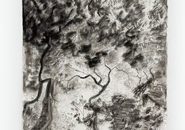 'Claros del Bosque IV'.