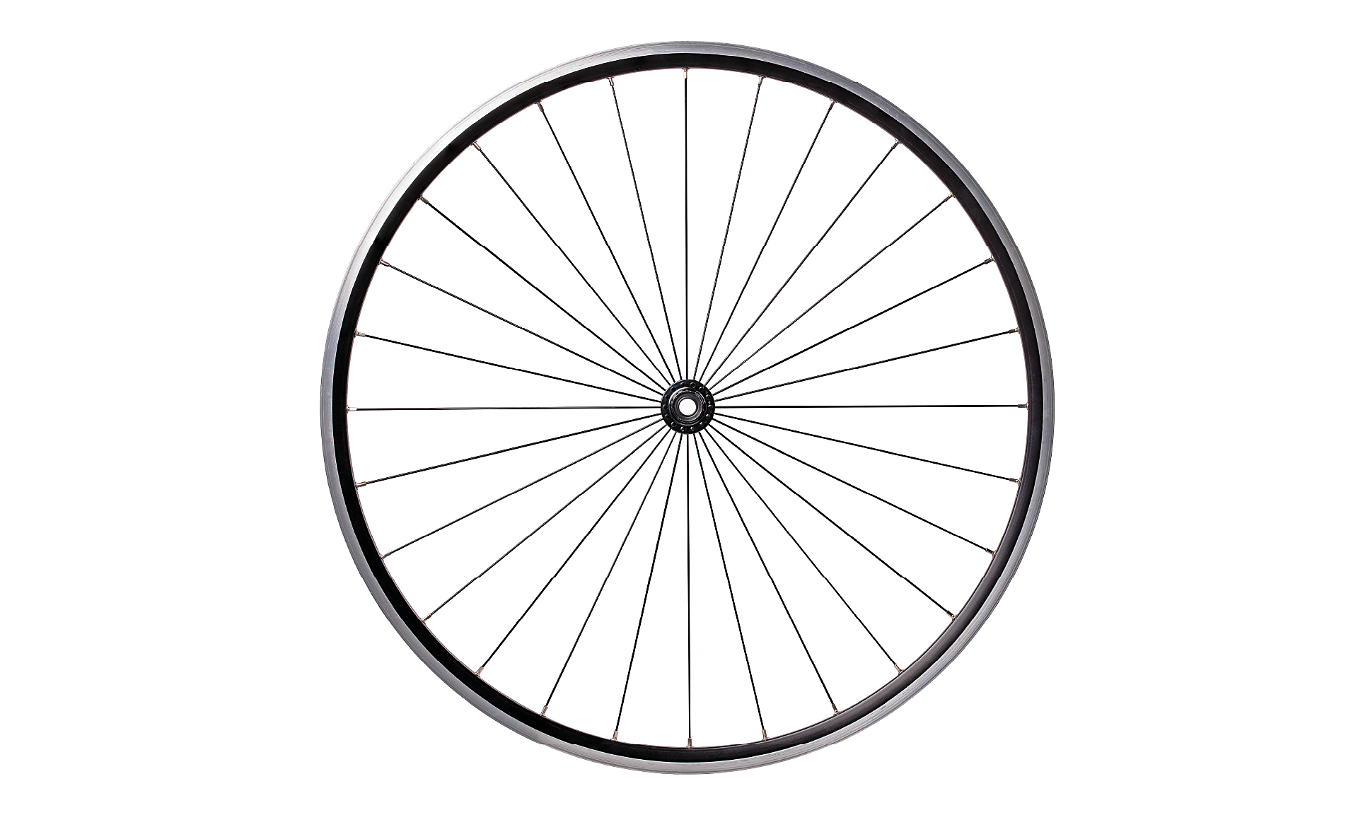 Scroll Story imagen 1