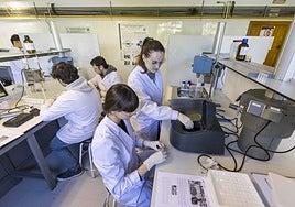 Laboratorio de la Escuela de Telecomunicaciones de la Universidad de Cantabria, el pasado año.