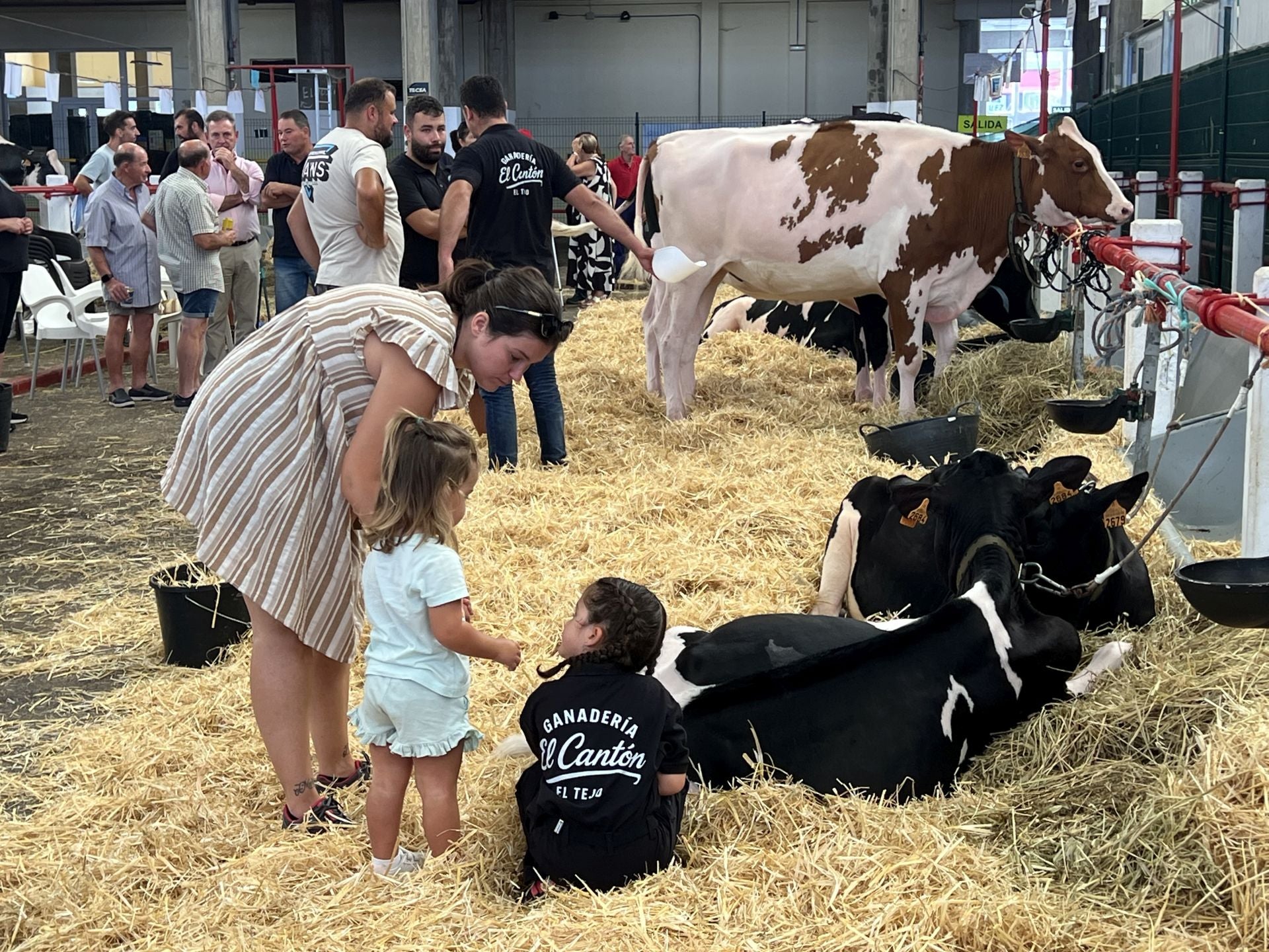 Estampa que da pie a pensar en el relevo generacional…