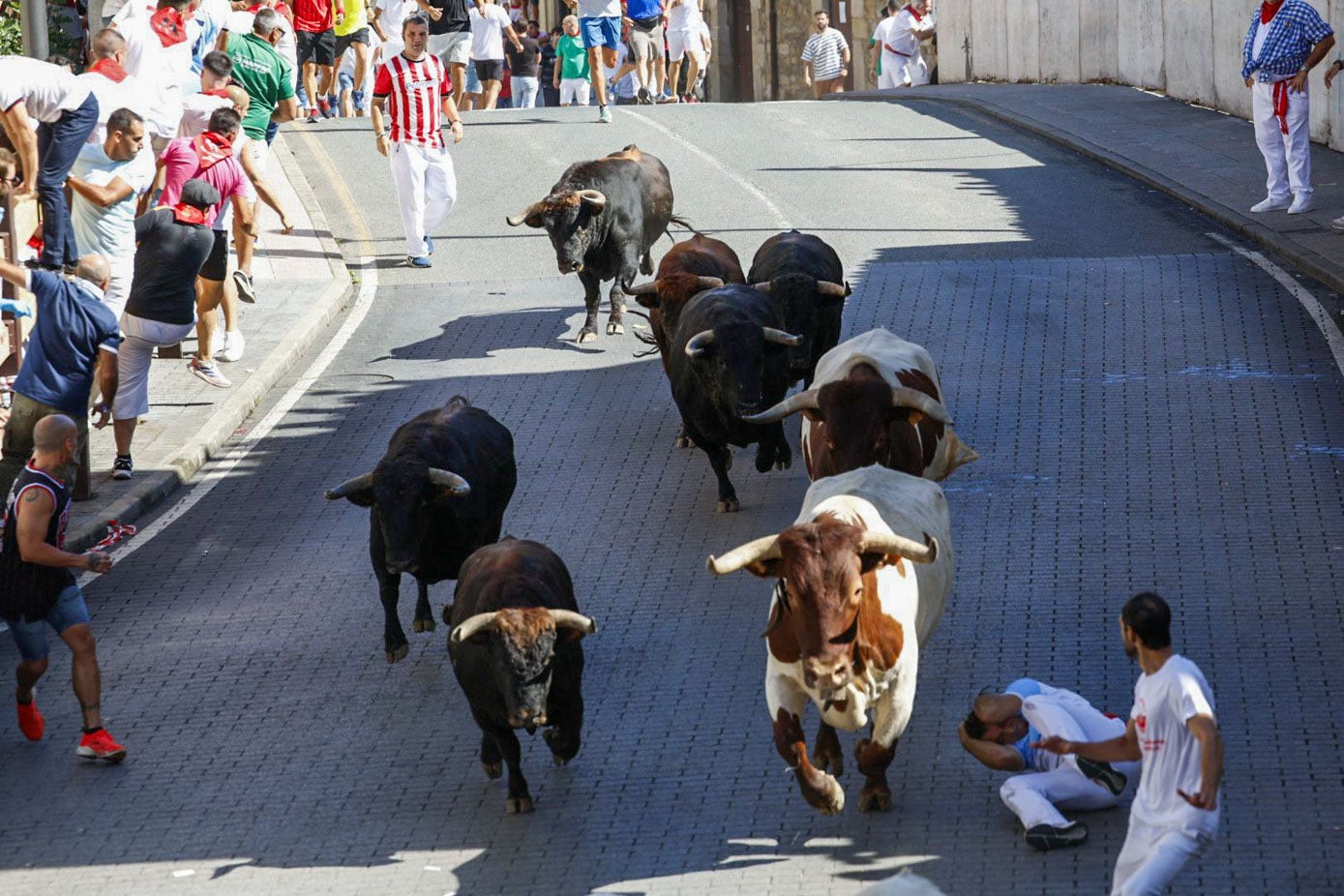 Un mozo intenta ponerse delante del toro.