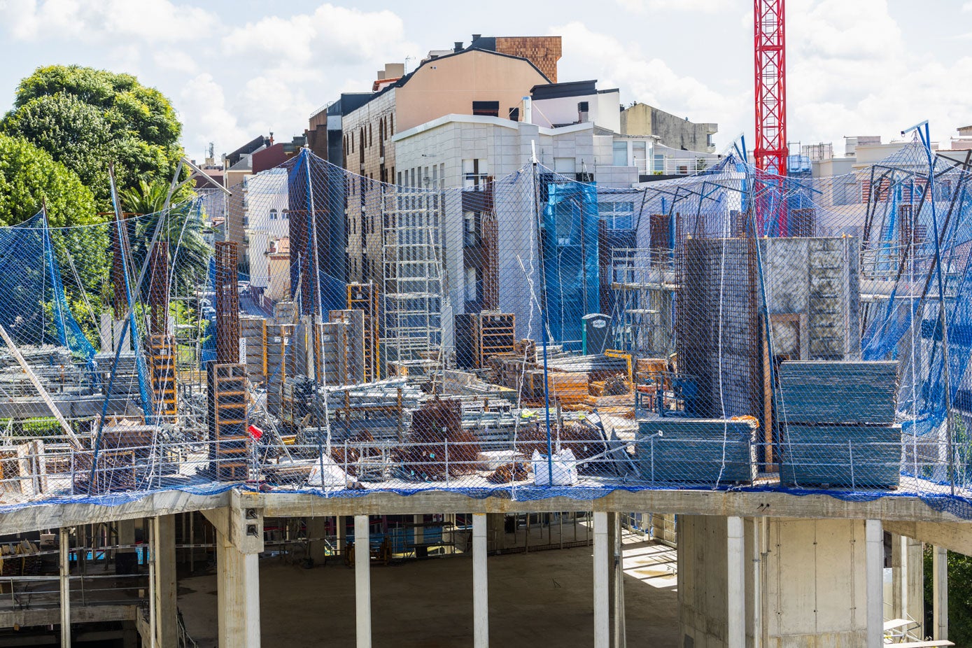 Detalle de las plantas superiores.