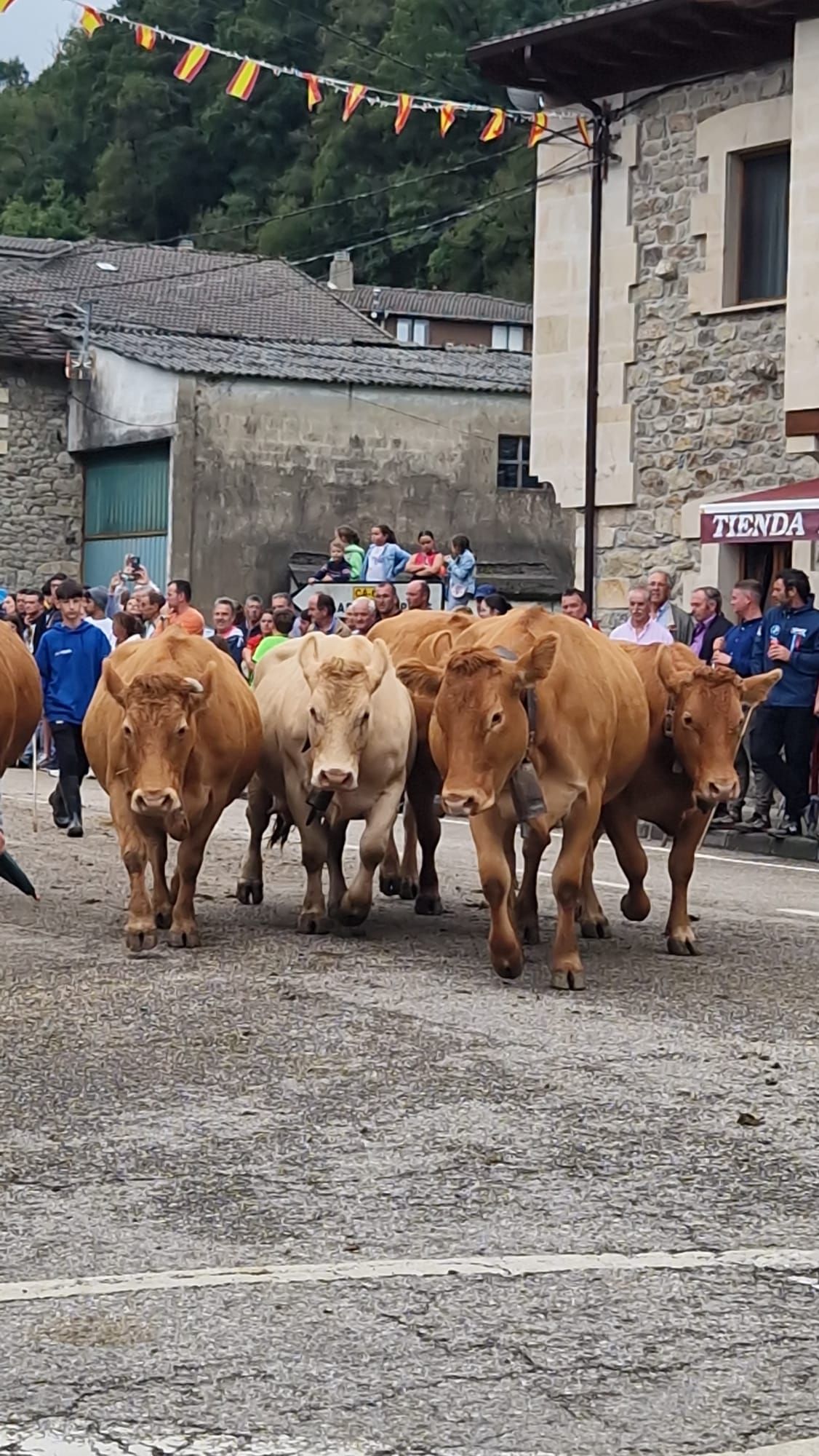 La 'pasá pasiega' por las calles del pueblo