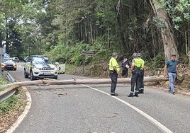 Otra protesta propalestina pone en jaque a La Vuelta y revienta la etapa de Bernal
